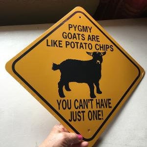 Las cabras pigmeas son como las papas fritas No puedes tener solo una señal de precaución de aluminio divertida