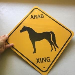 Arab Xing Sign Aluminum Arabian #2 Horse Crossing