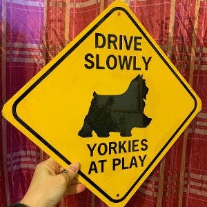 Conduzca lentamente Yorkies en play Funny Aluminum Dog Sign