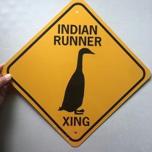 Indian Runner Duck Xing Sign Aluminio