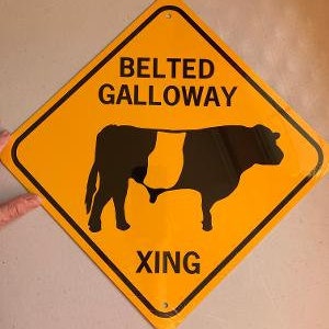 Señal de cruce de vacas de aluminio con cinturón Galloway Xing