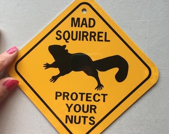 Mad Squirrel  Protect your nuts 6x6 inch small Funny Aluminum Sign