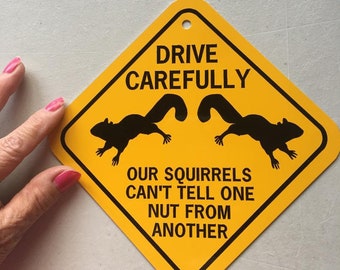 Drive Carefully Our Squirrels Can't Tell One Nut From Another 6x6 inch small Funny Aluminum Sign