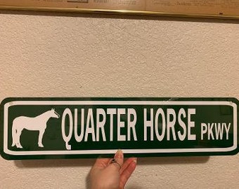 Op de afbeelding: Een groen en wit metalen bord met de tekst "Quarter Horse Pkwy" en een wit silhouet van een paard.