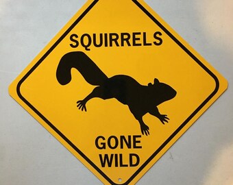 Squirrels Gone Wild   Funny Aluminum Sign