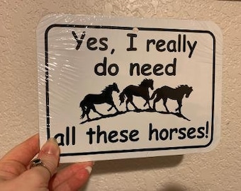 Yes, I Really Do Need All These Horses!