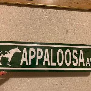 Puede incluir: Una señal de calle verde y blanca con el texto "Appaloosa Ave" y una silueta blanca de un caballo con manchas negras.
