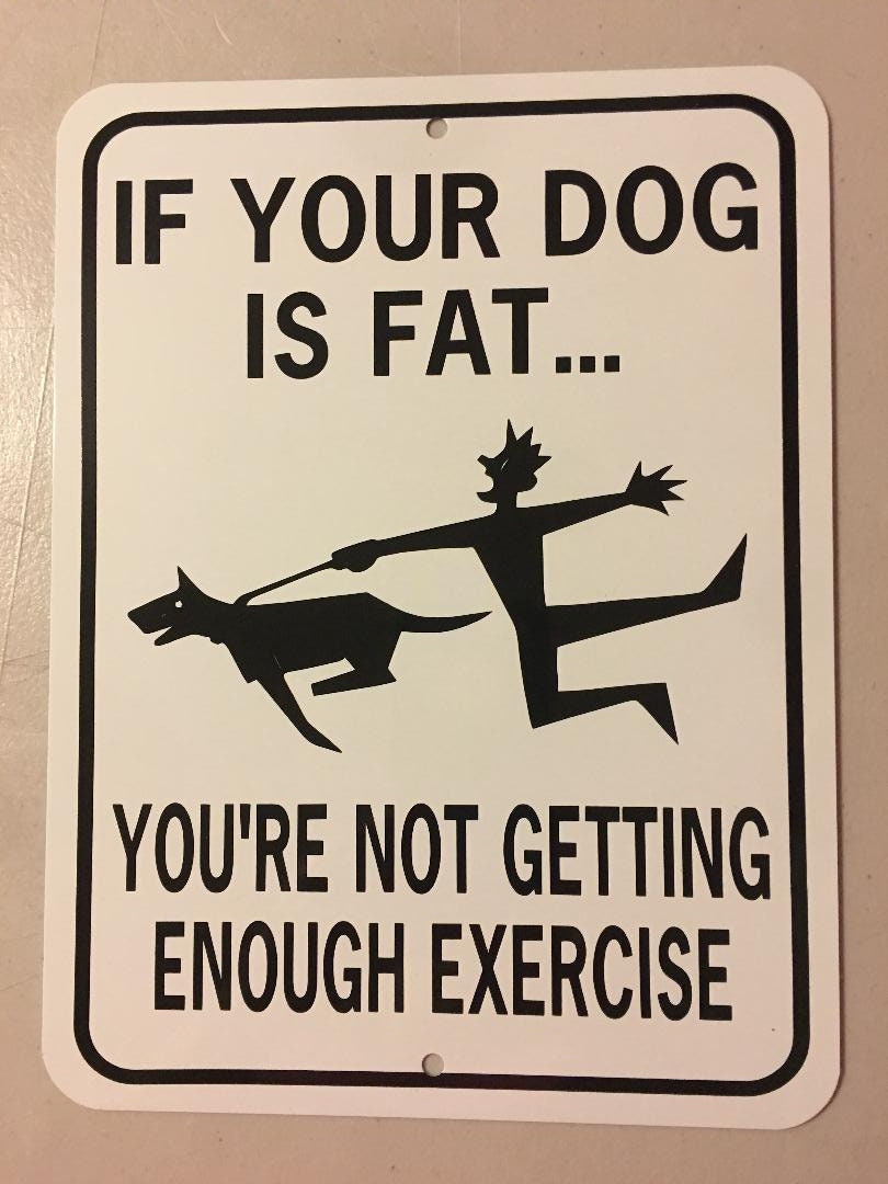 Does Your Dog Get Enough Exercise?