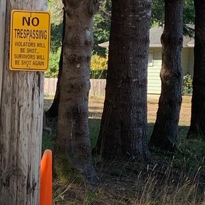 No Trespassing Violators will be shot survivors will be shot again b/w Funny Aluminum Sign image 3