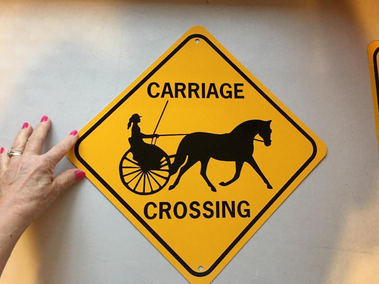 Carriage Crossing Aluminum Equestrian Sign Etsy
