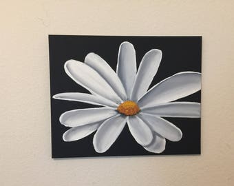 Striking White Daisy on Black Background Oil Painting. 16x20 