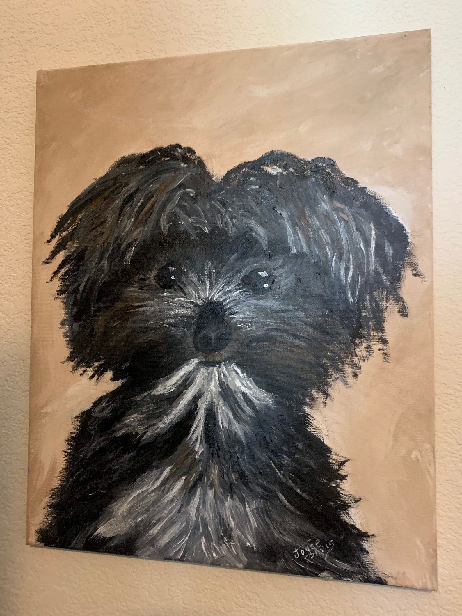 Portrait of Black and White Yorkie Oil Painting on 16x20 Etsy