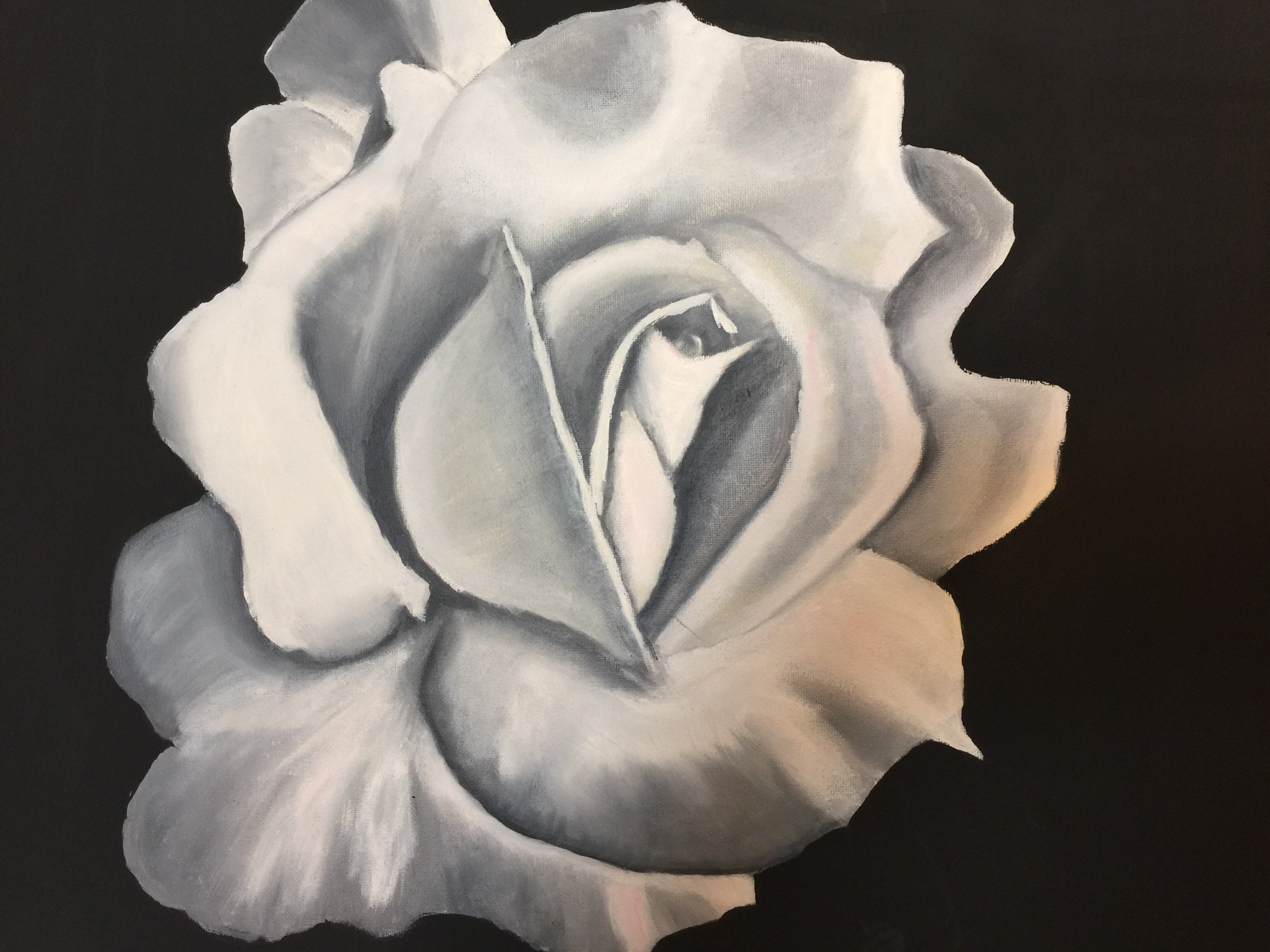 White Rose Oil Painting On Black Background Oil Painting On Etsy
