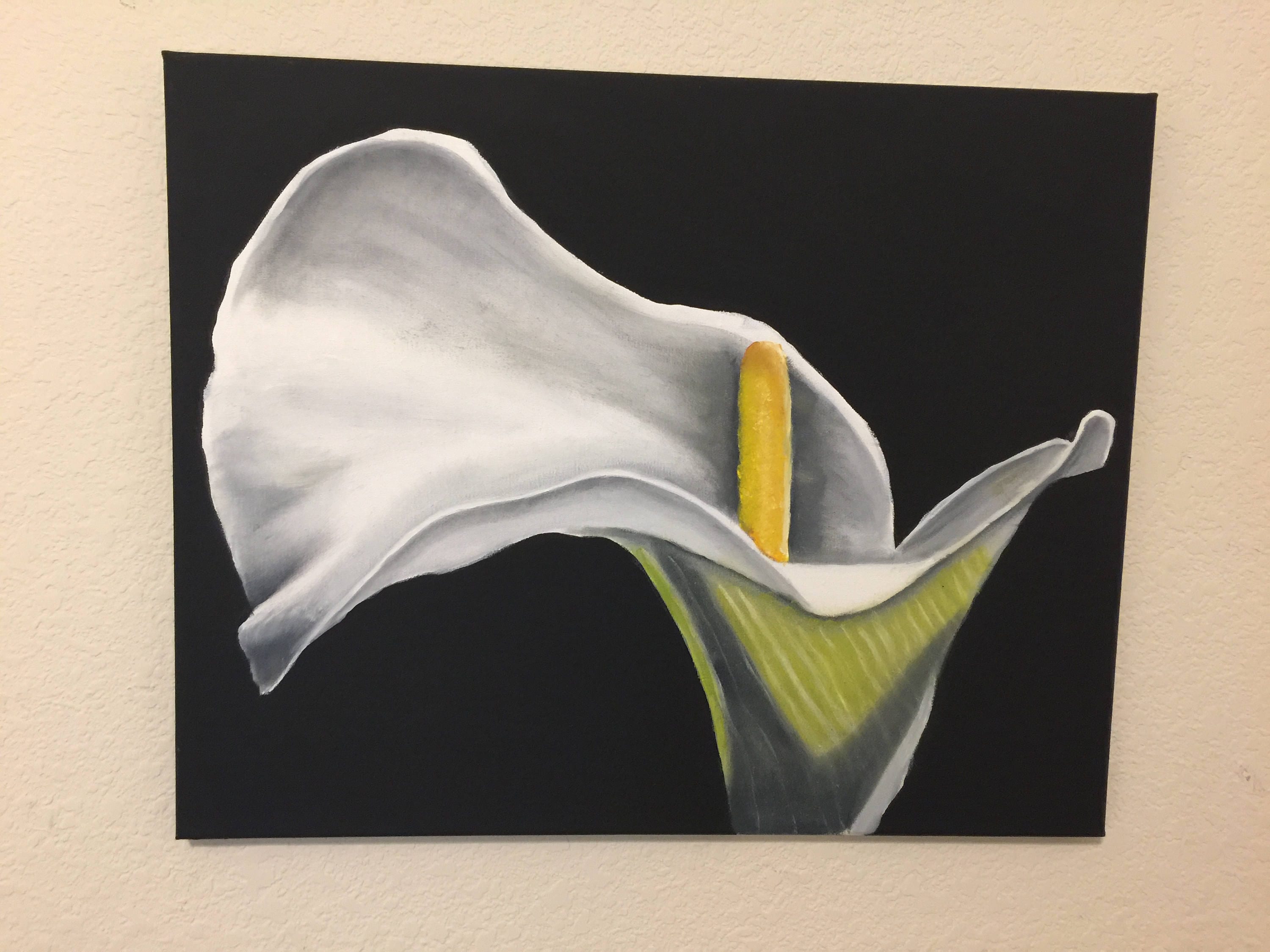 White Calla Lily Oil Painting on Black Background. Oil on Canvas, White and  Black, Flower Painting, Great Easter Gift - Etsy