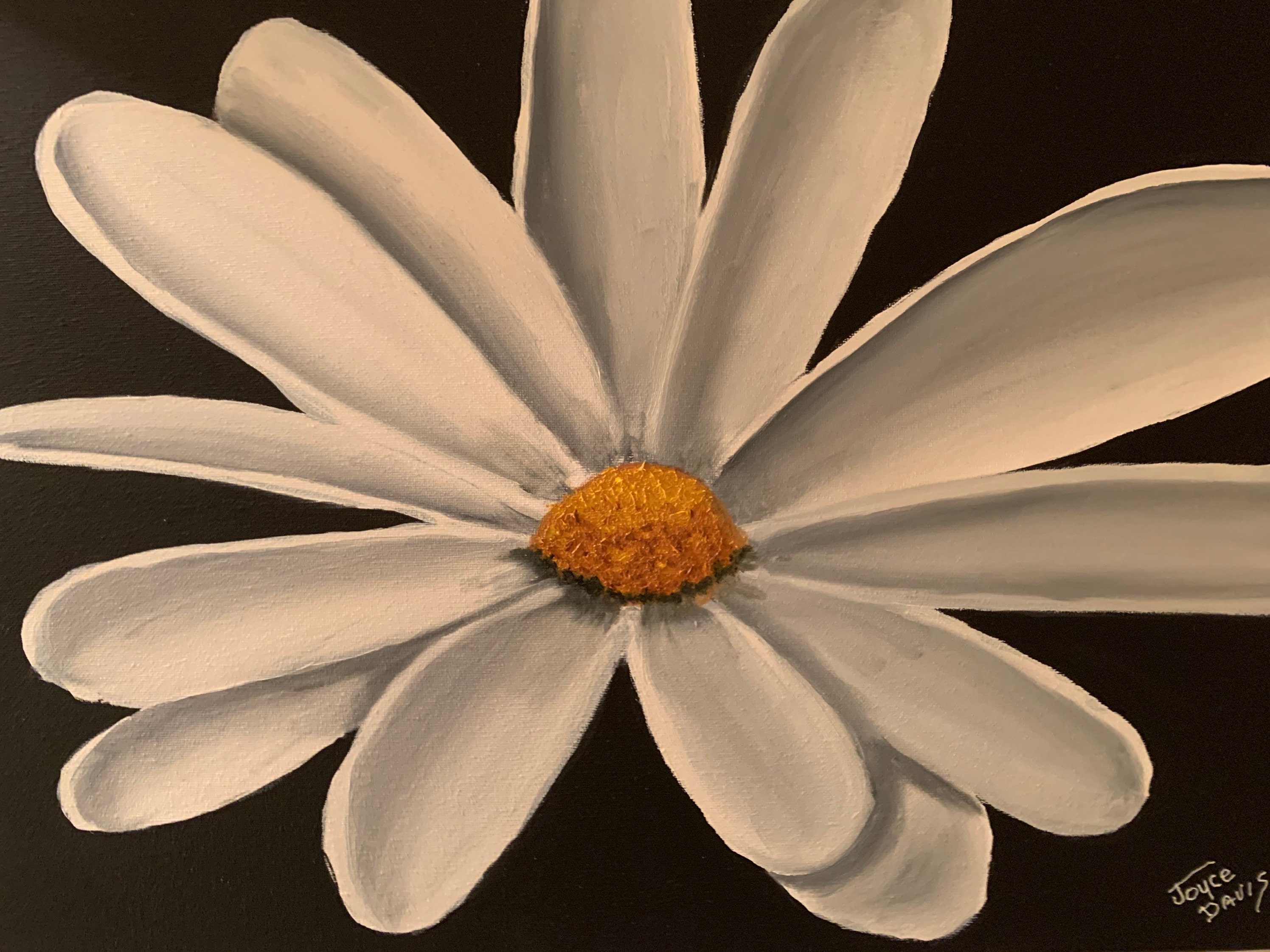 Striking White Daisy on Black Background Oil Painting. 16x20 - Etsy