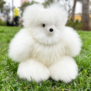 Alpaca Fur Teddy Bear - A Huggable Companion for Any Occasion