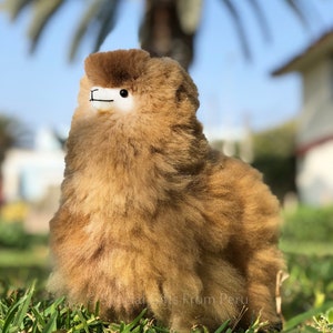 Peruvian Llama Magic: Soft Alpaca Fur Stuffed Animal for All Ages