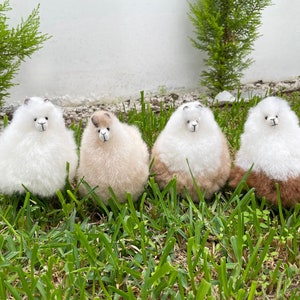 May include: Four fluffy alpaca plushies in different shades of white, brown, and beige. The plushies are sitting on a bed of green grass.