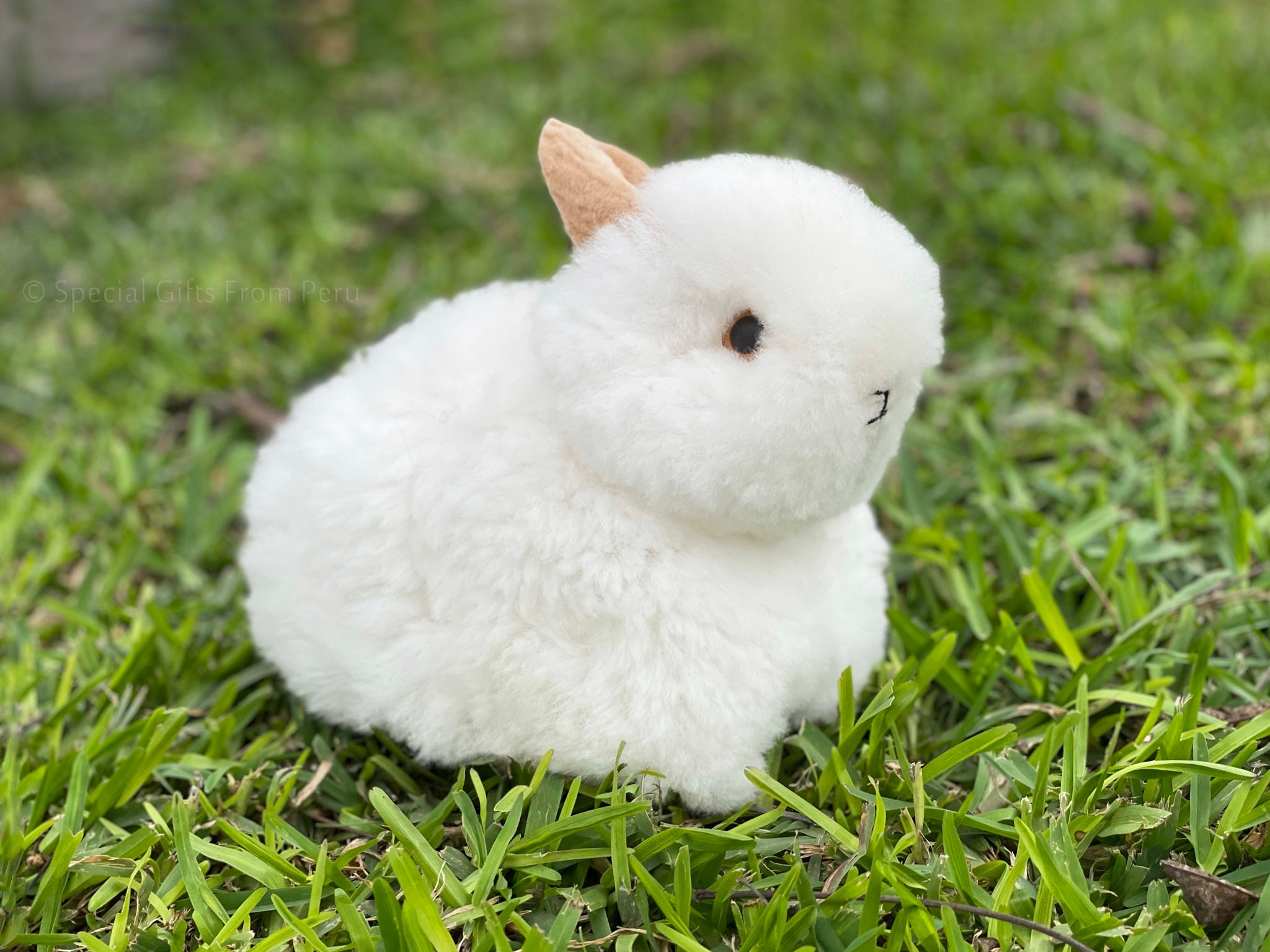 Bulk Bunny Bliss: 30 Alpaca Fur Bunnies - Ideal for Events and Gifting ...
