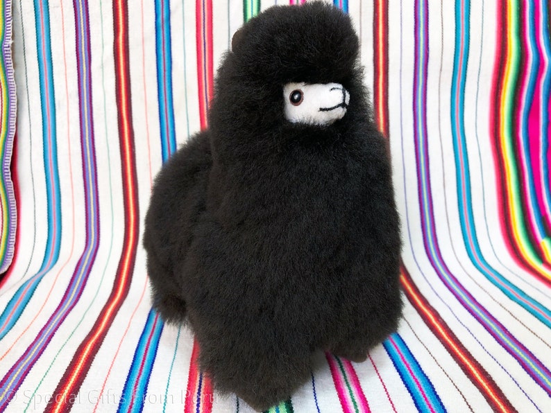 black alpaca plush