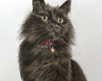 Custom Pet Portrait from Photo, Personalised Pet Gift, Hand Drawn Animal Portrait, Pet Memorial Gift, Animal Lover Present