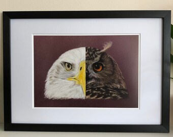 Fine art print, eagle print, owl print, giclee, portrait, animal portrait