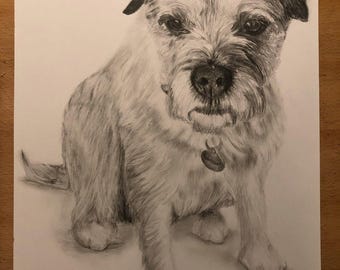 Custom pet portrait in graphite pencil