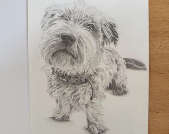 Custom pet portrait in graphite pencil