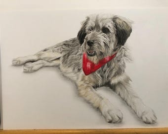 A3 Custom Dog Portrait in Coloured Pencil