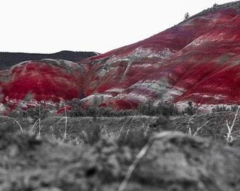 Painted Hills Oregon, 7 Wonders of Oregon, Canvas, Print, Artwork, Photograph, Landscape Photography
