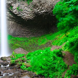Latourell Falls, Oregon, Canvas, Print, Artwork, Photograph, Landscape Photography, Waterfall