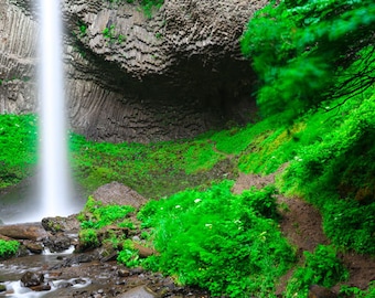 Könnte beinhalten: Ein Wasserfall stürzt von einer felsigen Klippe herab, umgeben von üppigem, grünem Laub. Das Wasser ist weiß und schäumend und bildet einen dramatischen Kontrast zum dunklen Fels.