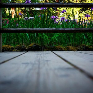 Japanese Gardens, Portland Oregon, Canvas, Print, Artwork, Photograph, Japanese Gardens
