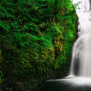 Bridal Veil Falls, Bridal Veil, Oregon, Canvas, Print, Artwork, Photograph, Landscape Photography, Waterfall