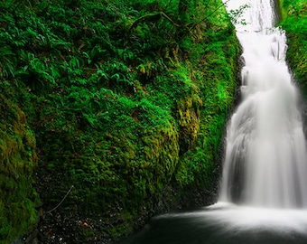 Könnte beinhalten: Ein üppiger, grüner, moosbewachsener Wasserfall stürzt über eine felsige Klippe. Das Wasser fließt sanft und erzeugt ein Gefühl der Ruhe.