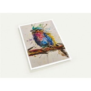 cartes de voeux oiseaux uniques, lot de 10 cartes vierges comprenant des enveloppes, carte oiseau abstraite éclaboussée, carte de condoléances sincères oiseau