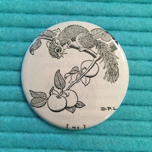 May include: A round, white button with a black and white illustration of a squirrel on a branch with apples. The button has a glossy finish and the text "D.P.L." is visible.
