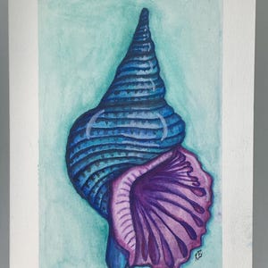 May include: Watercolour painting of a blue and purple seashell on a light teal background. The shell has a spiral shape with detailed ridges and a flared, ruffled edge. The artwork is on white paper.