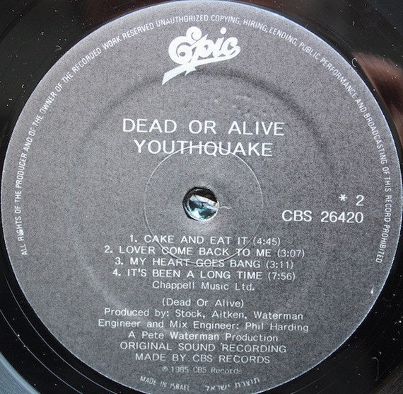 Dead Or Alive - You Spin Me Round (Like a Record) (Version 2)