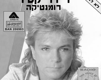 David Cassidy - Romance Mega Rare 12" Promo Record Israel LP