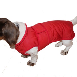 Dog coat small dogs dachshund dachshund winter coat custom made