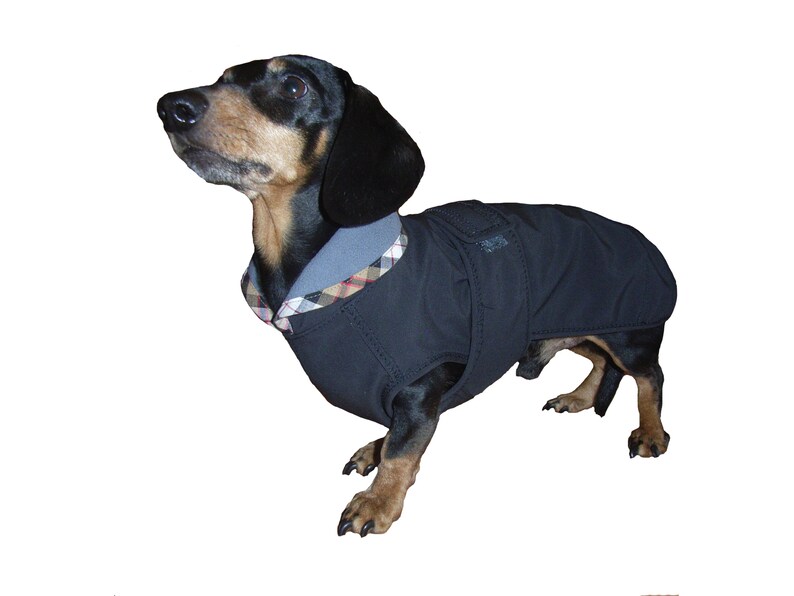Hundemantel kleine Hunde Dackel Dachshund Regenmantel Etsy