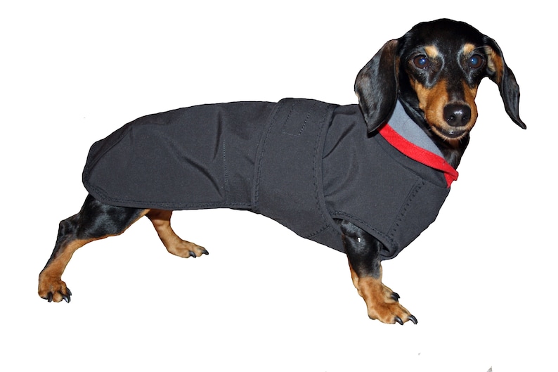 Hundemantel kleine Hunde Dackel Dachshund Regenmantel - Etsy.de