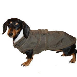 Dog coat small dogs dachshund dachshund winter coat custom made