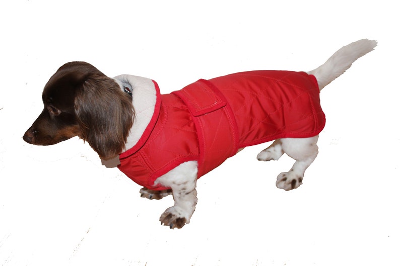 hundemantel mit bauchschutz für kleine hunde