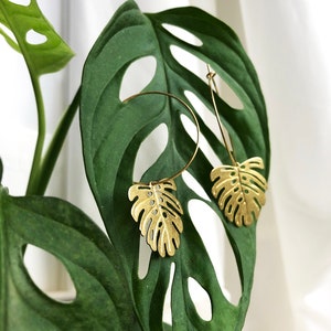 May include: Gold-colored leaf-shaped earrings with a hoop design, resting on a large, green Swiss cheese plant leaf. The earrings have intricate cut-out details, and the plant leaf has natural holes. The background is a soft, white curtain.