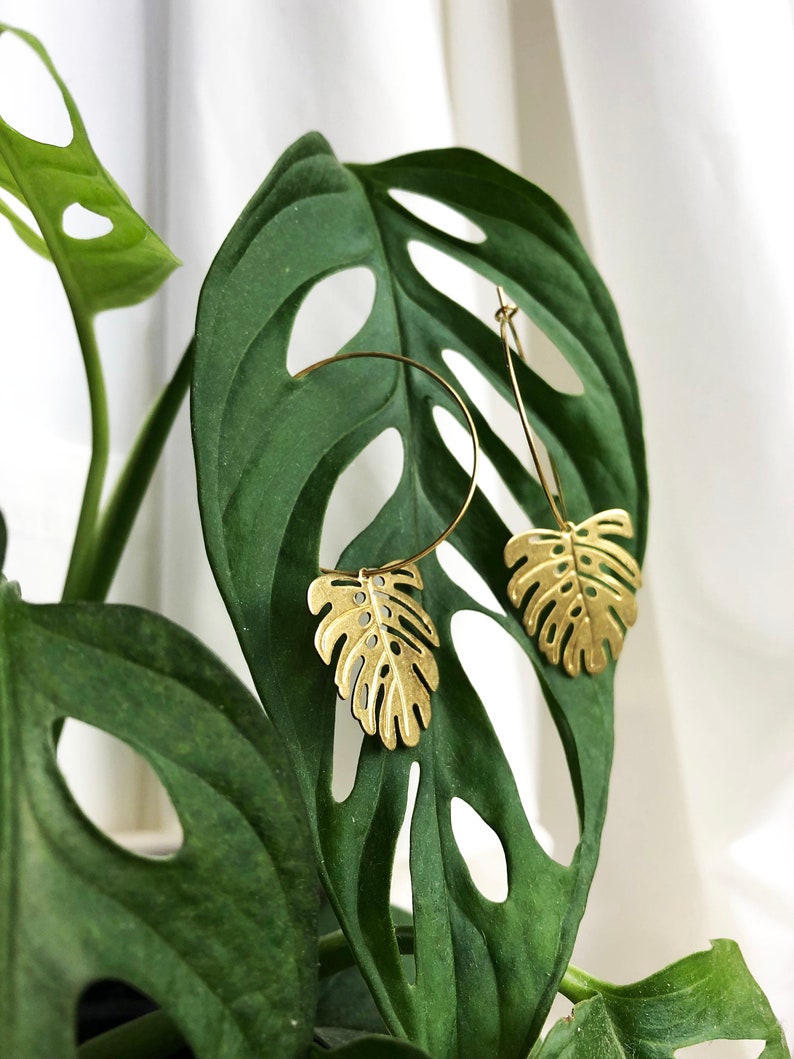 May include: Gold-colored leaf-shaped earrings with a hoop design, resting on a large, green Swiss cheese plant leaf. The earrings have intricate cut-out details, and the plant leaf has natural holes. The background is a soft, white curtain.