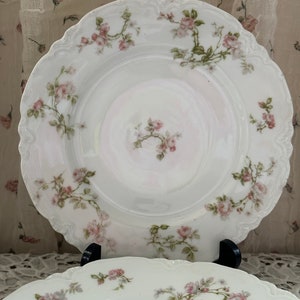 Antique French Limoges Lunch Plates set of 5