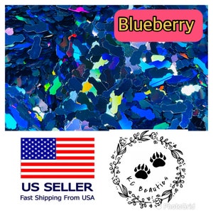 Holographic blueberry Car Nail Art Craft Epoxy Resin Tumbler many color & size to choose