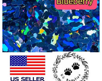 Holographic blueberry Car Nail Art Craft Epoxy Resin Tumbler many color & size to choose